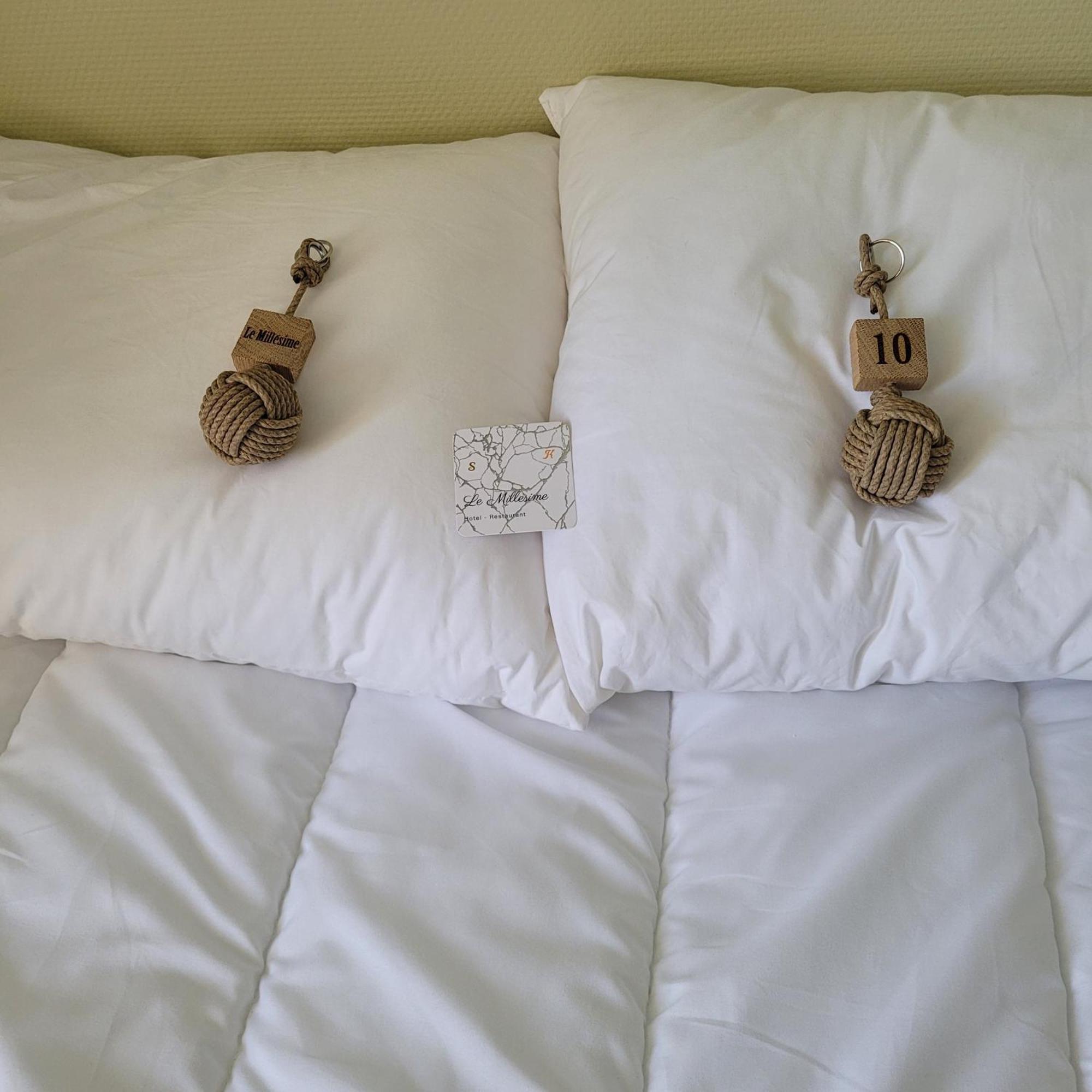 Hotel Le Millesime 梅马克 外观 照片